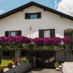 How to Stage Your Home in the Spring