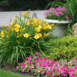 How to Enhance Your Home’s Curb Appeal