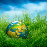 How to Go Green at Home