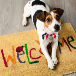 Buying and Selling a Home as a Pet Owner